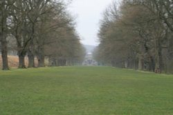 The Chaple and long walk at Gibside. Wallpaper