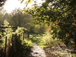 Dinckley near Ribchester, Lancashire. Wallpaper