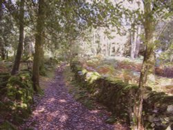 Footpath to High Dam Wallpaper