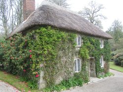 Thatched cottage in the grounds of Lanhydrock House Wallpaper