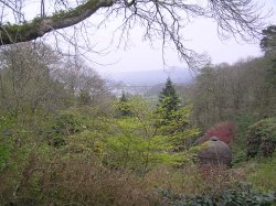 Cotehele garden and view to the distant viaduct Wallpaper