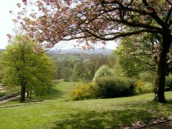 Haden Hill Park