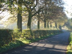 Hothersall Lane, near Longridge. Wallpaper