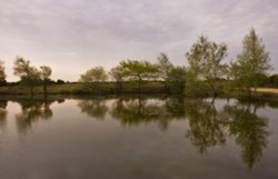 New Forest, Hampshire Wallpaper