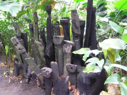 Carved faces in the tropical biome at Eden Wallpaper