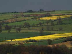 Fields above Chipping Campden Wallpaper