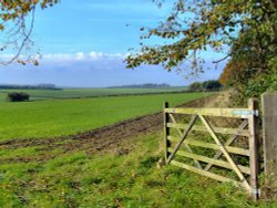 The view through the gate