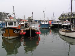 Mevagissey Harbour at evening high tide Wallpaper