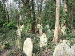 Highgate Cemetery Wallpaper