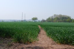 The Staffordshire Way footpath Wallpaper