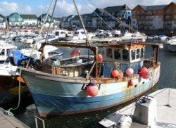 Exmouth Harbour Wallpaper