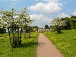 Killerton house Wallpaper