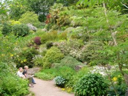 Killerton house gardens Wallpaper