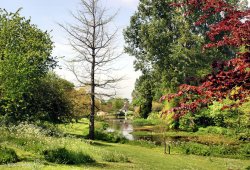 Springhead Gardens, Fontmell Magna, North Dorset Wallpaper