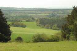 Newlands corner Wallpaper