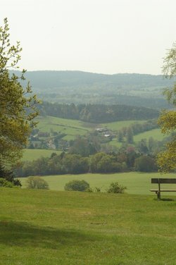 Newlands corner