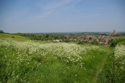 View from the Mount Wallpaper