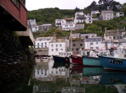 Polperro Harbour Wallpaper