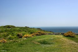 Durlston Country Park, Swanage, Dorset. Wallpaper