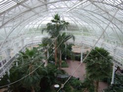 The Winter Gardens Glasgow Wallpaper