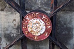 Rose of York on City Wall Gate Wallpaper