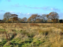 View across to the old railway line Wallpaper