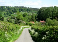 Country Lane on Longleat Estate Wallpaper