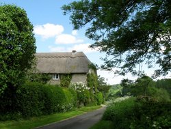 Thatched Cottage near Longleat House Wallpaper