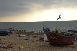 Eastbourne Fishing Wallpaper