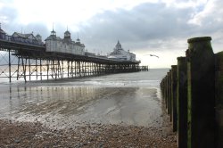 Eastbourne Pier Wallpaper