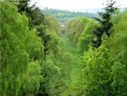 Looking towards the Chaple in the grounds of Gibside. Wallpaper