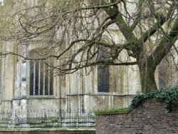 Beverley minster Wallpaper