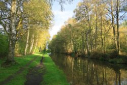 Trent & Mersey Canal near Fradley Wallpaper