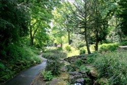 The Dene, Saltwell Park, Gateshead Wallpaper