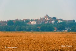 Rye at harvest time Wallpaper