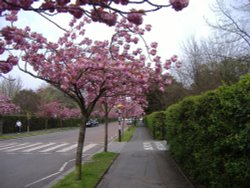 Regent's Park