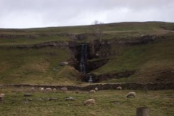 Waterfall in Sheep Pasture, Wensleydale Wallpaper