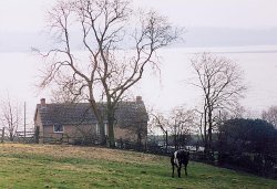 Rutland Water near Upper Hambleton Wallpaper