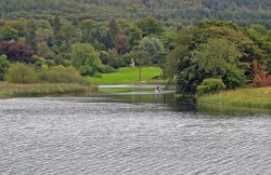 A view from the Train on the Lakeside to Haverthwaite Railway Wallpaper