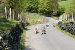 Traffic jam, Crummock