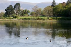 Derwentwater from Kettlewell Wallpaper