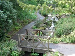 The dene, Saltwell Park,Gateshead