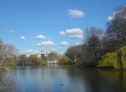 View of the London Eye from St. James's Park. Wallpaper