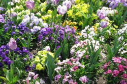 Garden bed, Abbey Gardens Wallpaper