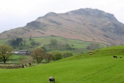 Helm Crag Wallpaper