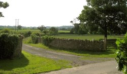 Stone Wall, Silton Wallpaper