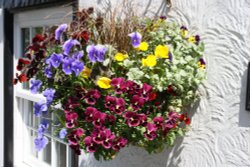 Finchingfield flower basket Wallpaper