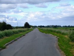 Country lane near Misson Wallpaper