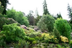 Cragside Estate, nr Rotherbury, Northumberland. Wallpaper