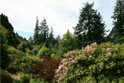 Cragside Estate, nr Rotherbury, Northumberland. Wallpaper